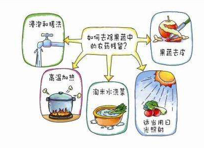 如何減少農(nóng)藥污染去除農(nóng)藥殘留？振華化工總結(jié)以下幾點分享給大家
